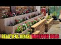 Beautiful Kiyari Make Over with Hybrid Vinca Multi Colour Flower at home | Low Cost landscape garden