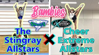 【Challenge】We challenged Cheerextreme ＆ Stingray routine!