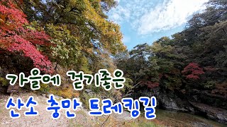 가을에 걷기 좋은 길/당일치기/홍천 3.8km 산소 충만한 트레킹