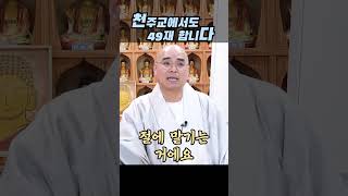 천주교에서도 49재 합니다 #shorts