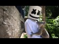 Marshmello gets attacked by a Koala in Australia