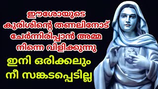 ഇനി ഒരിക്കലും നീ സങ്കടപ്പെടില്ല🙏#kripasanam  #kreupasanam #കൃപാസനം