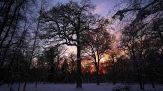 Sam Scott-Hunter photographs the OneOak tree