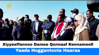 Xiyyeeffannoo Damee Qonnaaf Kennameefi Yaada Hoggantoota Haaraa