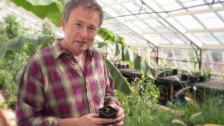 Planting Powder with Potting Up by Toby Buckland