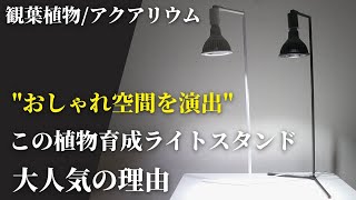 【植物育成ライトスタンド】オシャレでカッコいい超おすすめ！フロアーランプスタンド アコン（Akond）をレビュー！BARREL(バレル)の新製品！観葉植物｜アガベ｜塊根｜ボトルアクアリウム｜テラリウム