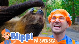 Blippi besöker en djurpark | @BlippiSvenska | Pedagogiska videor för barn