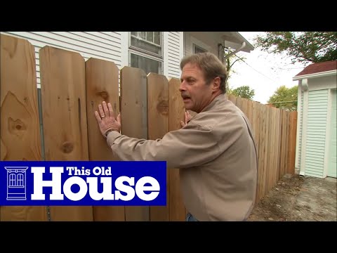 How to Plant and Train Vines on a Fence - This Old House How to Plant and Train Vines on a Fence - This Old House