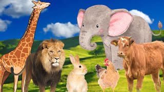 Learn animal sounds - Elephant, lion, cow, rabbit, chicken