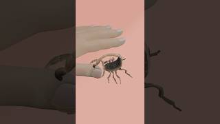 Scorpion Sting 3danimation