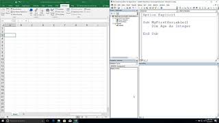Microsoft Visual Basic - Variable Declarations and Assignments