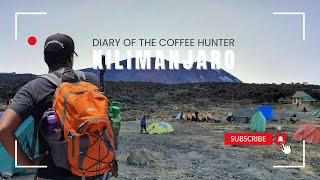 How I Got To The Summit of Kilimanjaro For My 50th and Raised Money for a Coffee Nursery in Zimbabwe