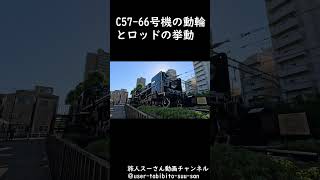 入新井西公園C57 66 #youtubeshorts