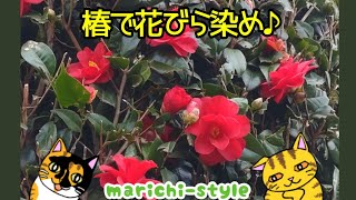 【カラフルな染め分けが楽しめる】火を使わない安全な花びら染めのやり方！ショートver.