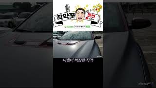 jeju 작약꽃 코나 아이언맨과 작별... #shorts