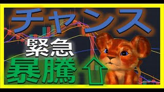 【仮想通貨ビットコイン今後】この下落は必須！【移動平均線を使った仮想通貨チャート検証】