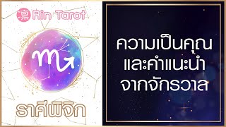 ราศีพิจิก ลักษณะนิสัยและคำแนะนำจากไพ่ โบนัส ไม่จำกัดเวลา Bonus Reading