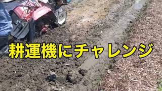 耕運機にチャレンジした