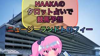 NAAKAのタロット占いで競馬予想(ニュージーランドトロフィー•阪神牝馬ステークス)