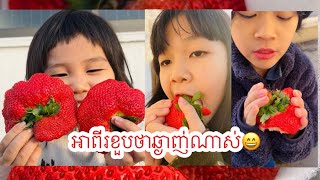 ផ្លែដេីមដៃធំៗល្អណារស់ជាតិក៏ឆ្ងាញ់ដែរ🍓🍓🍓