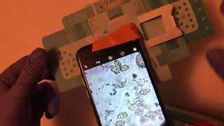 Using the foldscope to collect parasite egg images: a demo