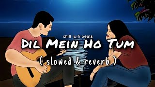 Dil Mein Ho Tum | Slowed & Reverb | Chill LoFi Beats |