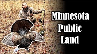 Public Land Run \u0026 Gun Turkey Hunting a Henned-up Gobbler in Minnesota