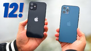 Apple iPhone 12 Pro (& iPhone 12) Review: Speed Demons!