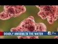 FDOH: Case of rare brain-eating amoeba found in Hillsborough County