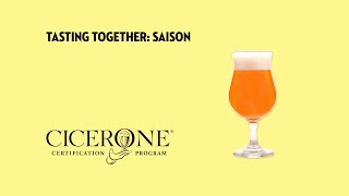 Tasting Together: Saison with Master Cicerone Pat Fahey