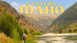 Hidden amongst one of the top fly fishing destinations | Eastern Idaho's best