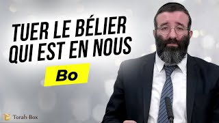 TUER LE BÉLIER QUI EST EN NOUS 🐏 PARACHAT \