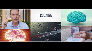 What effect does cocaine have on your brain... and how does it affect your health?