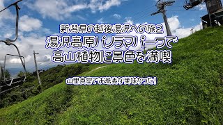 新潟県の越後湯沢への旅2湯沢高原パノラマパークで高山植物に景色を満喫山里食堂でお蕎麦が美味かった！