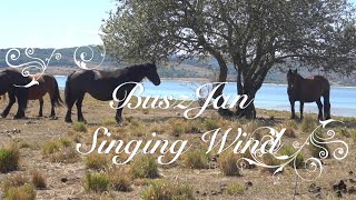 BuszJan - Singing Wind