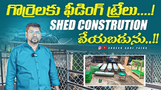 #shed గొర్రెలకు ఫీడింగ్ టబ్బులు, షెడ్ నిర్మాణం చేయబడును!9321711556..!!#sheep #viralvideo #dairy