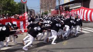 鳳だんじり2016 宵宮 午前曳行 10月7日