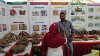 Glimpse of Vaiga Exhibition Thrissur#Vaiga 2020#Thekkinkadu#Agri#Kerala#