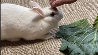 さくちゃんの気遣い🐇❤️