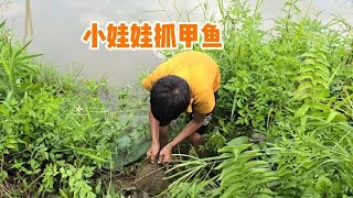 小娃娃挖甲鱼，抓到好几只巨型的野生甲鱼 #抓鱼摸虾 #纪录片