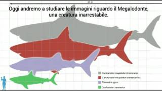 ESISTE ANCORA IL MEGALODONTE? DUE FOTO CHE FORSE LO DIMOSTRANO!