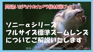 間違いだらけのカメラ機材選びch 「ソニーαシリーズフルサイズ標準ズームレンズについてご解説いたします」