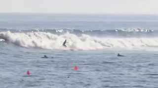 2015台風9号湘南サーフィン（Typhoon Surfing Japan）