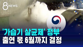 '가습기 살균제' 정부 출연 몫 6월까지 결정 / SBS 8뉴스