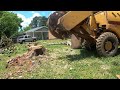 Stump Grinding a Maple Stump