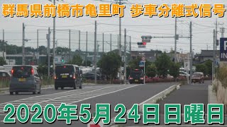 【信号機撮影#105】群馬県前橋市亀里町 歩車分離式信号▽J－ＱＵＥＳＴ前橋みなみモール店