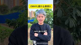 WHYL是什么意思？ #人类迷惑行为 #万万想不到 #情侣 #内容过于真实 #搞笑