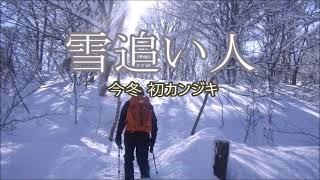 雪追い人【袴東ノ高台】今冬初のカンジキ山行