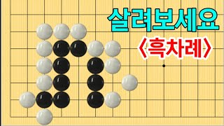 초급사활 #44 (6문제)