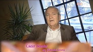 Ünnepi gondolatok - Csider Sándor